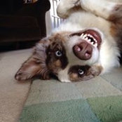 Paul Hickman's photo