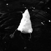 Andrea Buzzichelli's photo