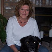 Sharon Langel's photo