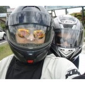 Foto von Rgo Cn Snz