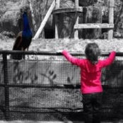 Karin Febish's photo