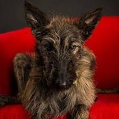 Catalina Salley's photo