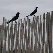 Linda Allred's photo