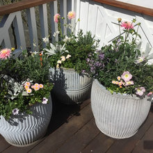 Back Porch Decor