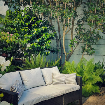 Cole Valley Retreat