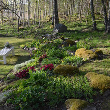 Trädgård