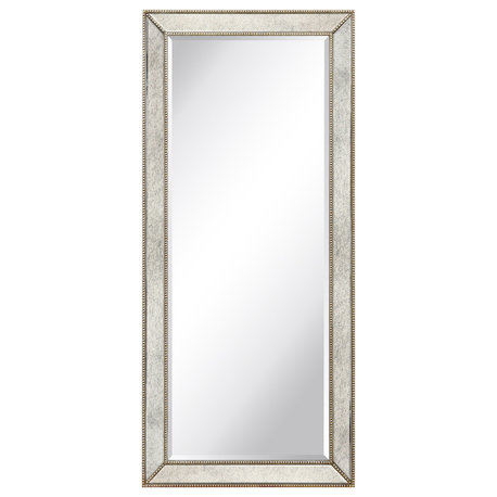 Champagne Beveled Antique Wall Mirror, 1" Beveled Center, Wood Frame, 24"x54"