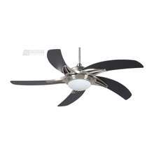 Lighting and fans