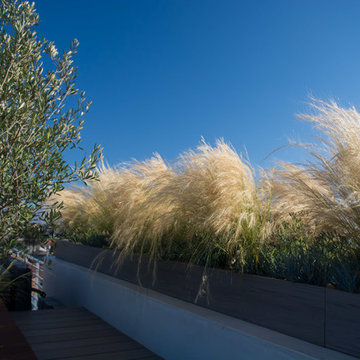 Modern Rooftop Deck