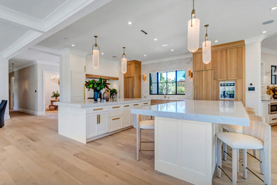 Kitchen - transitional kitchen idea in San Francisco