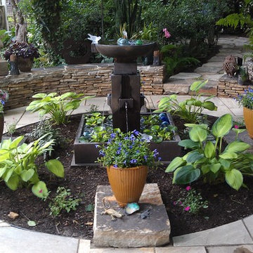DC Back Yard Re-Programming