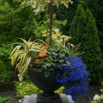 True Fine Garden Horticultural Service