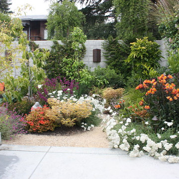 Kensington Modern