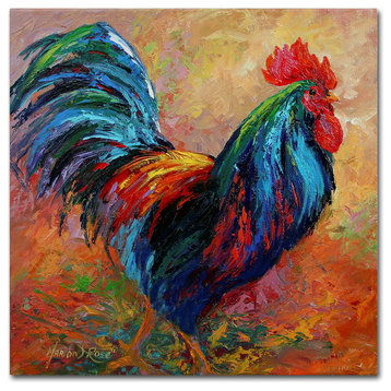 Marion Rose 'Mr T Rooster' Canvas Art, 35 x 35