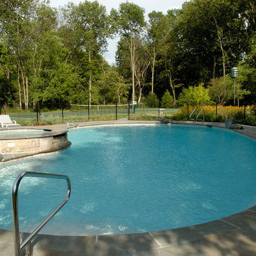 Glenview, IL Natural Swimming Pool and Raised Hot Tub