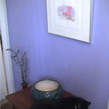 HOUZZ CLEAN UP PUPPY DOG