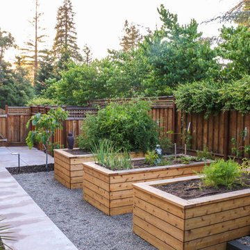 Vegetable Beds