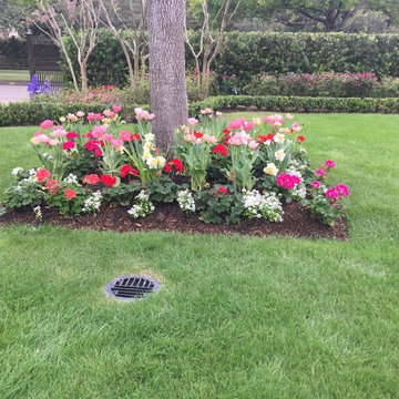 Gardens & Garden Paths