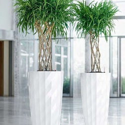 Modern Planter - Products
