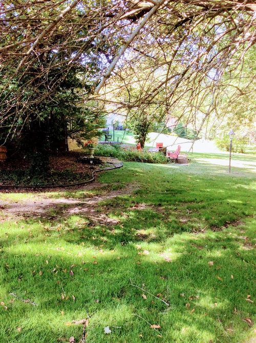 Help me design my backyard haven!