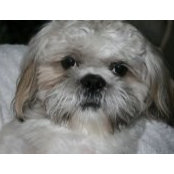 Jennifer Sorensen's photo