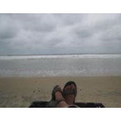 Sonal Gupta's photo