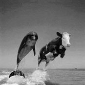 Philip Johnson's photo