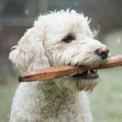 Mr Bruce's photo