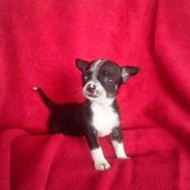 Laura Kozma's photo