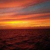 Bodie Brown's photo