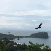 Jonathan Marks's photo