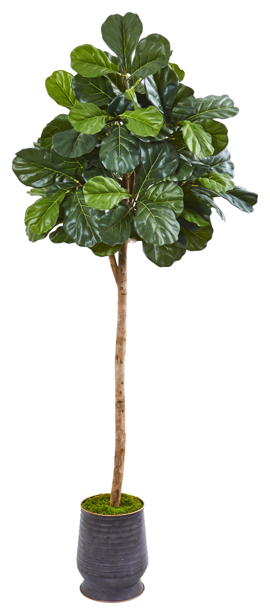 Albero Finto Cycas 60cm Nearly Natural - Pianta Artificiale Per Interni/Esterni, Resistente UV, Verde