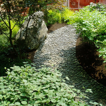 Dry River Beds