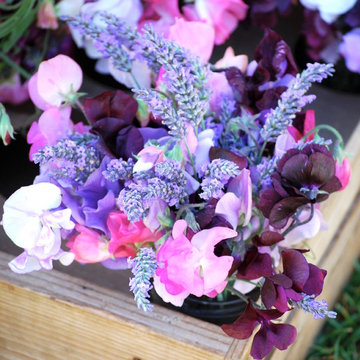 G A R D E N - Cut flower farms + gardens