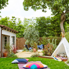 Our New Backyard