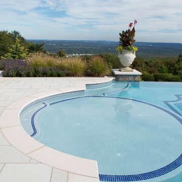 Swimming Pool Sun Shelf Design & Installation Bergen County Northern NJ