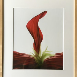 Red Flower Photo Print, Framed - Bar Carts