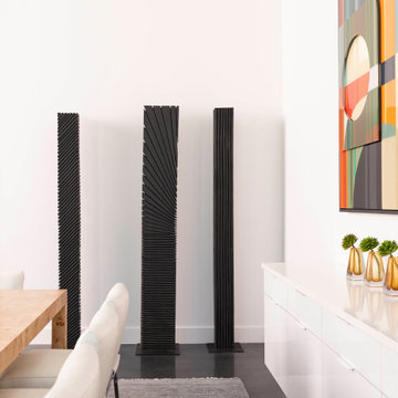 Preston Hollow Modern Minimalist Furnishing