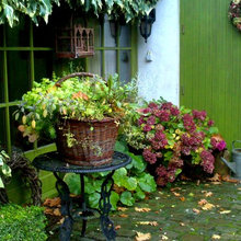 jardin