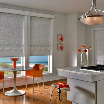 Dual Roller Shades
