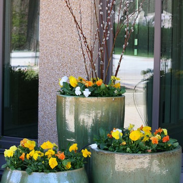 Seasonal Display