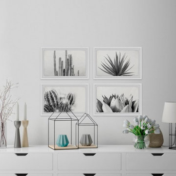 Cactus Kinds Quadriptych
