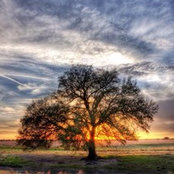 smaderak's photo