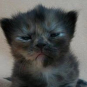 Llynn Huntley's photo