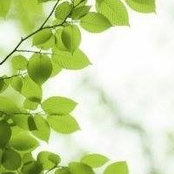 Nadwa Mazroua's photo