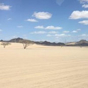 Abu Rawdah's photo