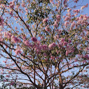 Unnikrishnan Nair's photo