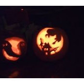 Adrienne Salaneck's photo