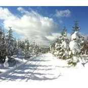 Doug Carter's photo