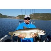 Mark Chidesters billede